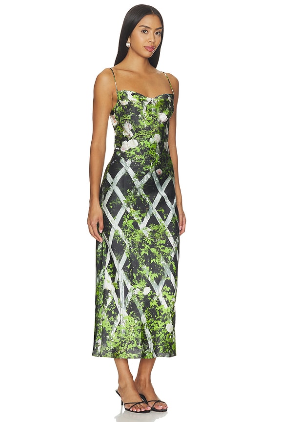 view 2 of 3 VESTIDO ELISA in Leafy Rose Trellis