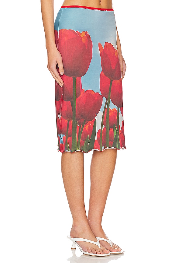 view 2 of 4 JUPE TULIP FIELDS in Tulip Fields