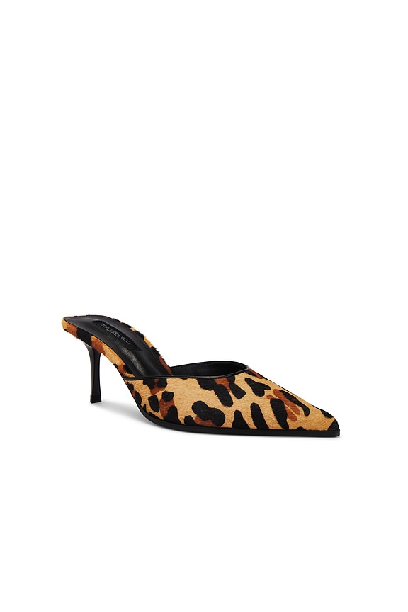 view 2 of 5 Vampire Mule in Leopard Pony