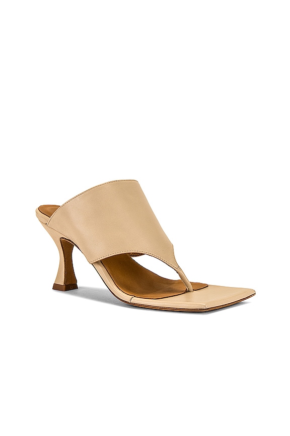 view 2 of 5 Mule in Sand