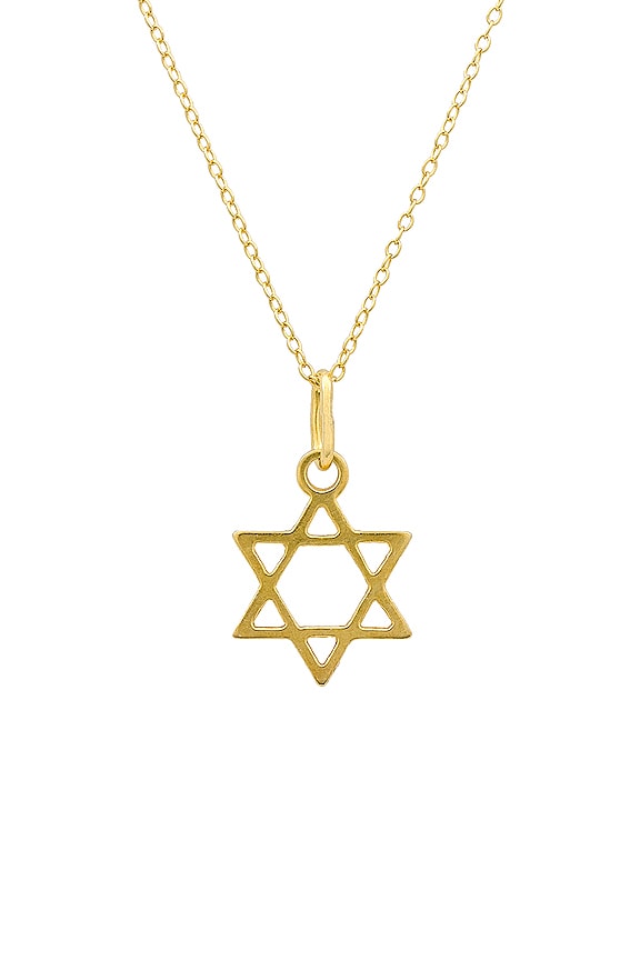 view 2 of 2 The Star Of David Medal Necklace in Gold