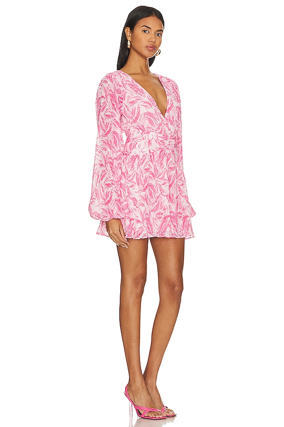 view 2 of 3 Clara Mini Dress in Pink Pamila Palms