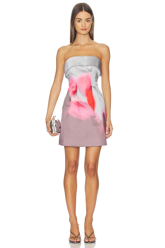 view 1 of 3 Zelie Mini Dress in Tulip Echo