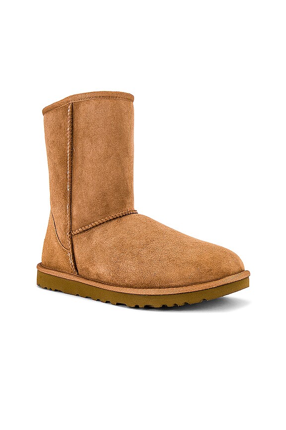 view 2 of 5 BOTA in Chestnut