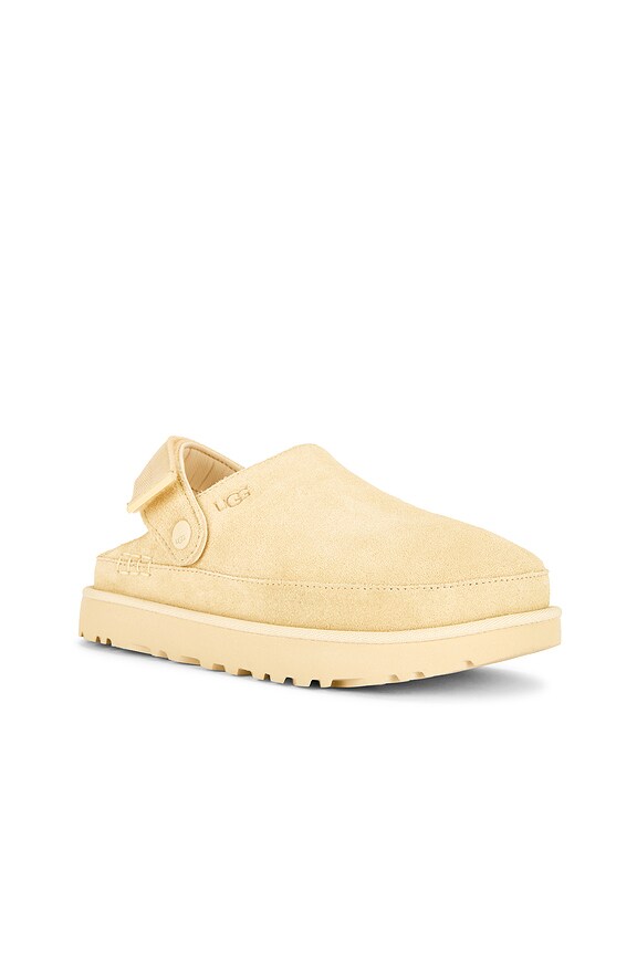 Goldenstar Clog