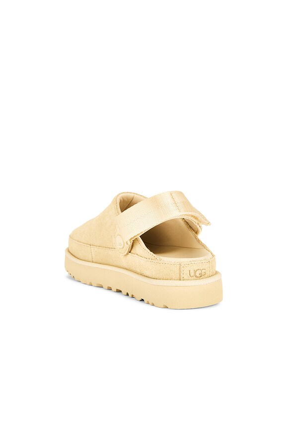 Goldenstar Clog