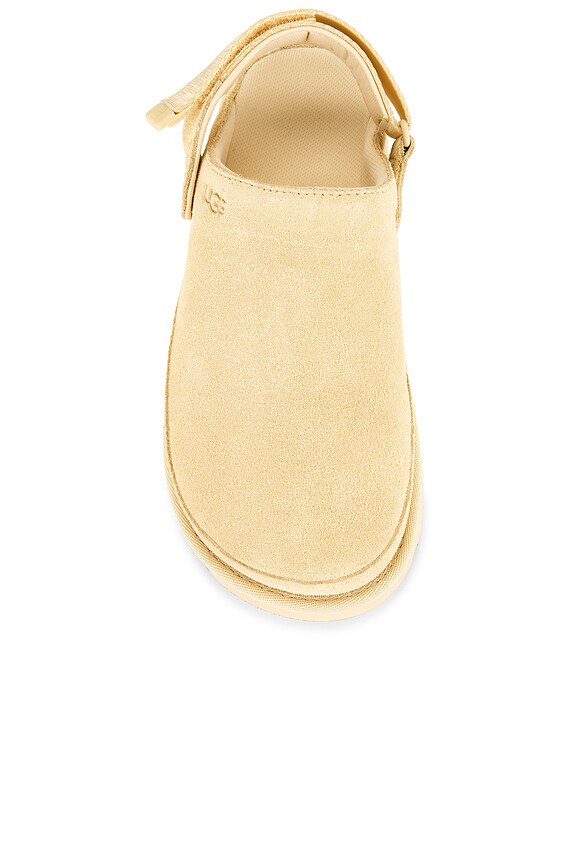 Goldenstar Clog