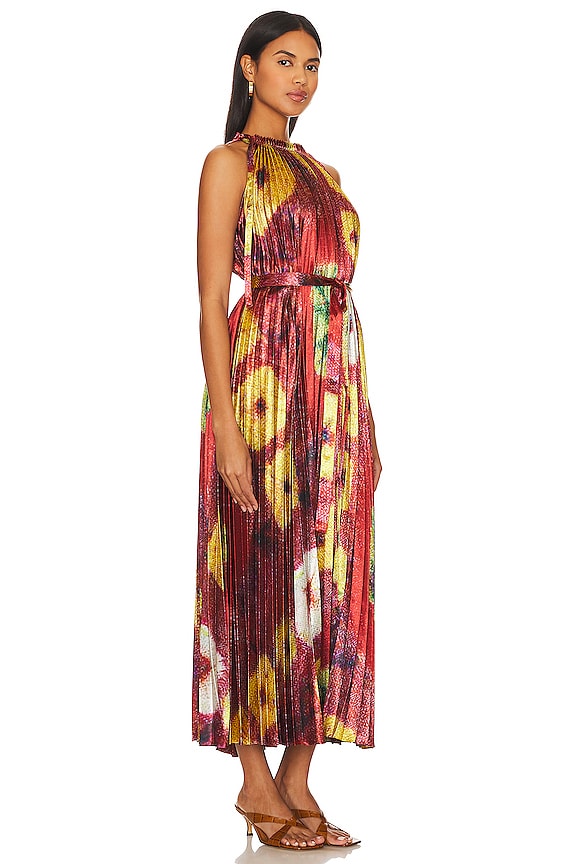 view 2 of 3 Amiko Dress in Medallion