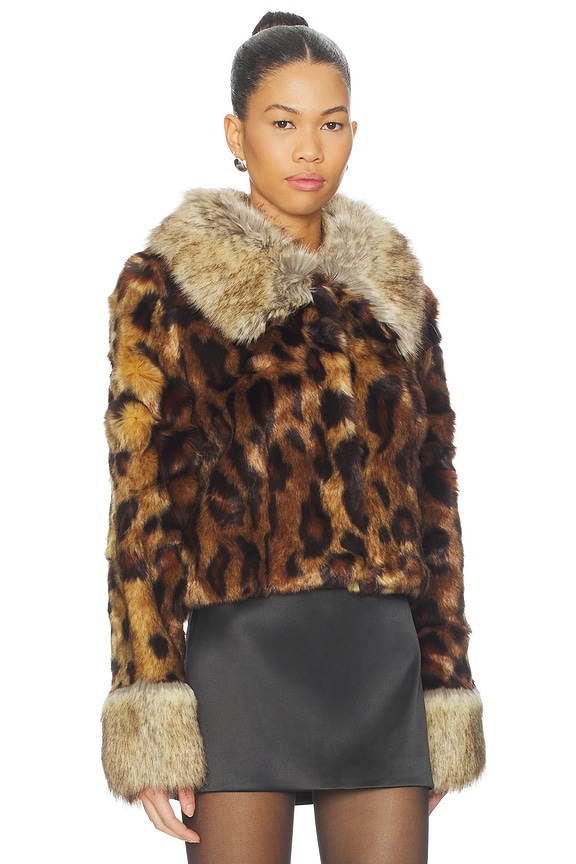 view 2 of 4 Hidden Tiger Jacket in Leopard