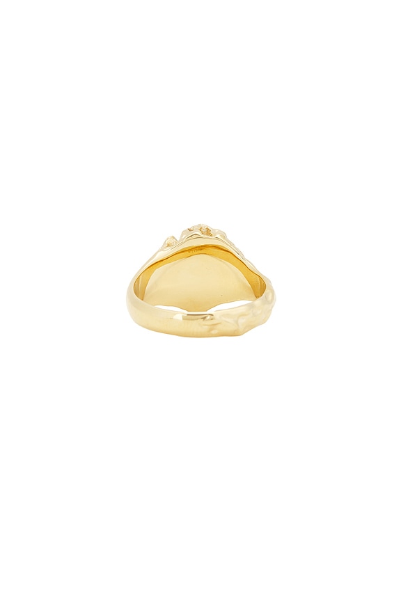 view 2 of 2 ANILLO in Gold & Clear