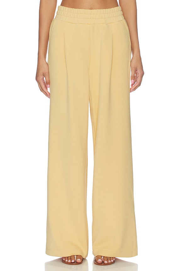 view 1 of 6 The Extra Wide Leg Pant in Sahara Sun