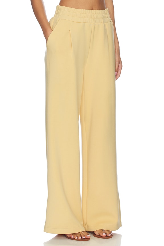 view 2 of 6 The Extra Wide Leg Pant in Sahara Sun