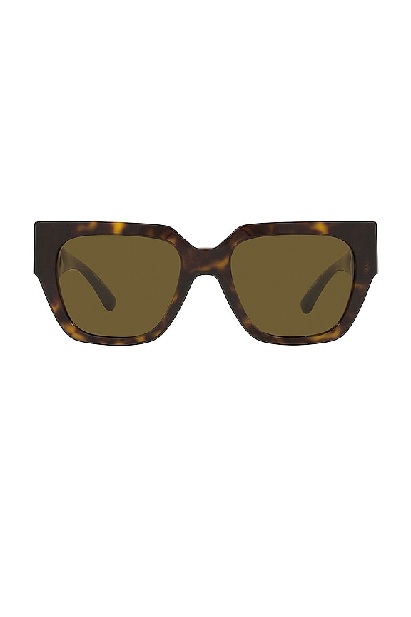 view 1 of 3 MEDUSA CHAIN 선글라스 in Havana & Dark Brown