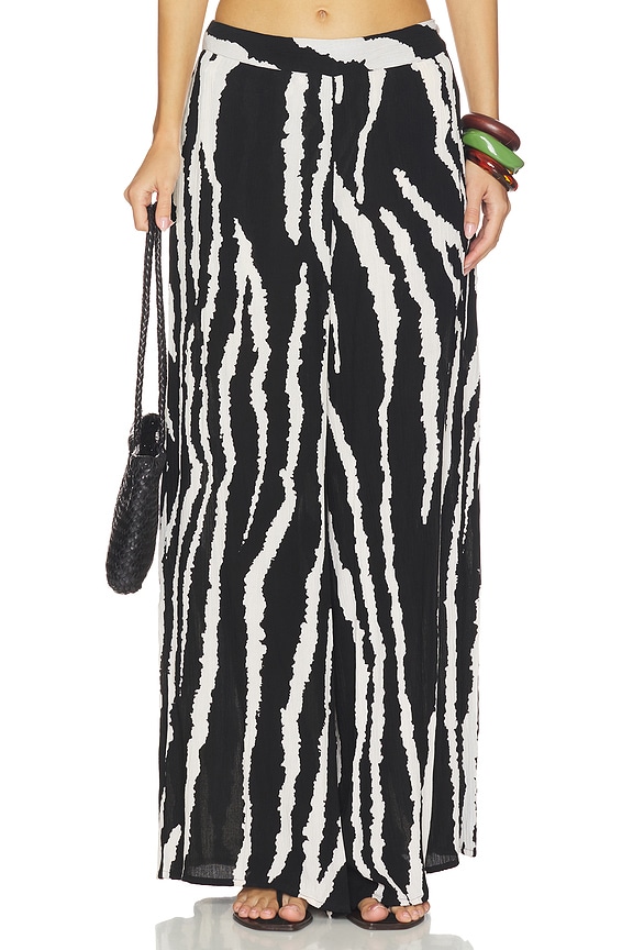 view 1 of 6 Serena Pant in Zebra