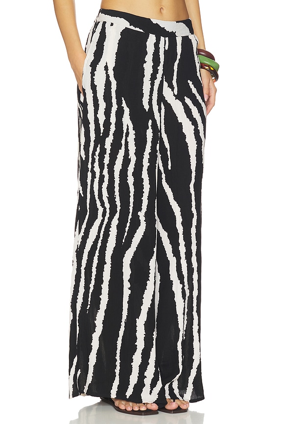 view 2 of 6 Serena Pant in Zebra