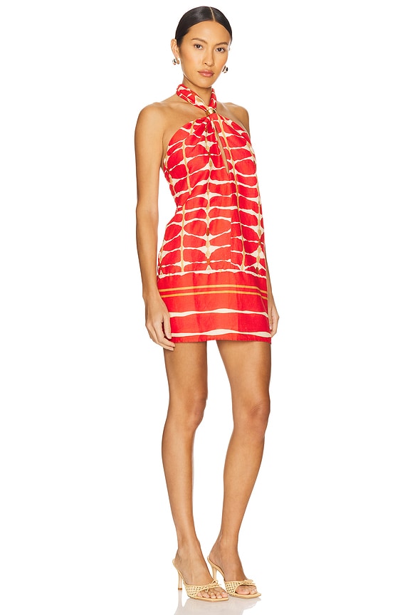 view 2 of 3 Aster Detail Short Dress in Agni