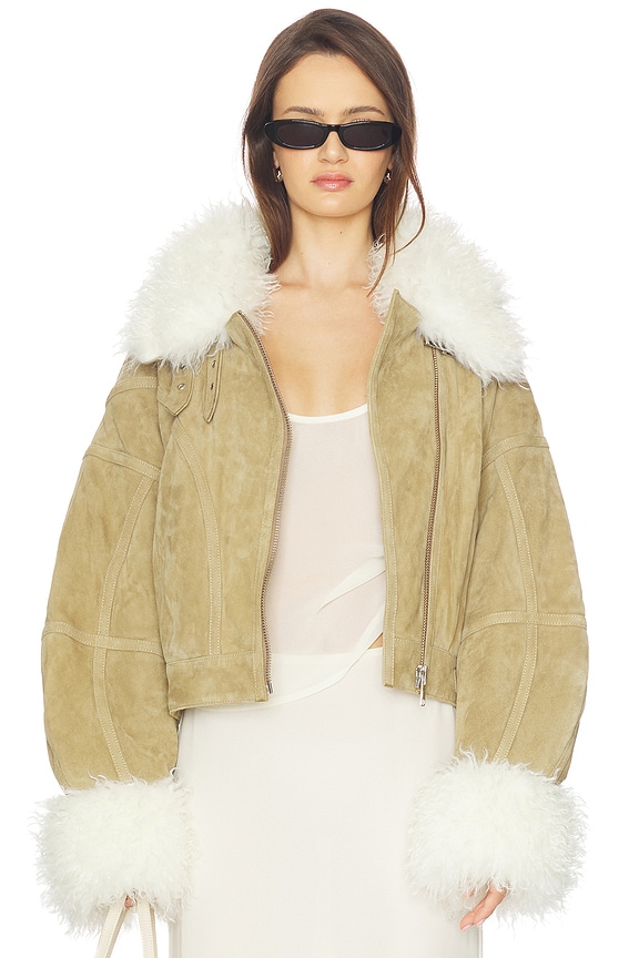 view 2 of 5 BLOUSON EN CUIR AVIATOR in Clay