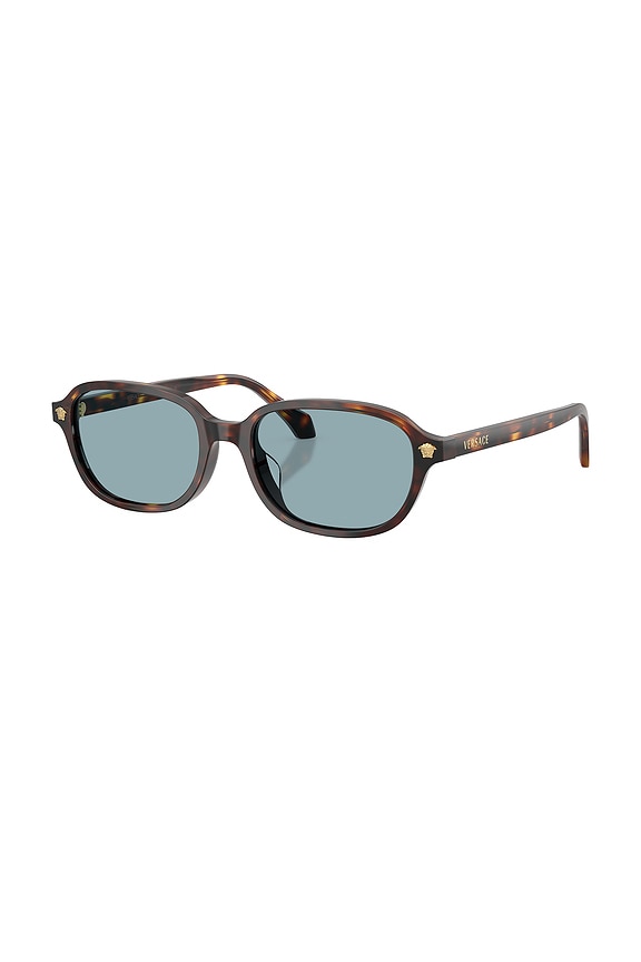 view 2 of 4 Oval Sunglasses in Brown Havana