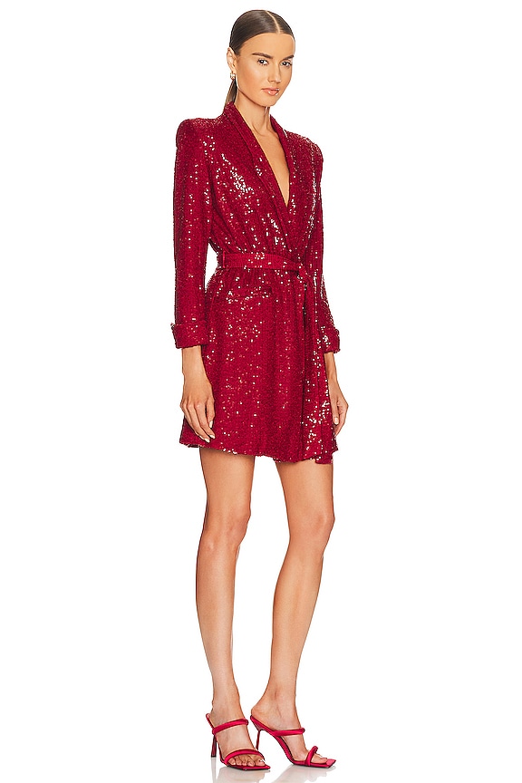 view 2 of 4 ПЛАТЬЕ CARLOTTA in Ruby