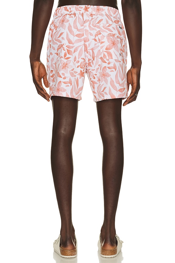 view 2 of 4 4 Way Stretch Volleys in Orange