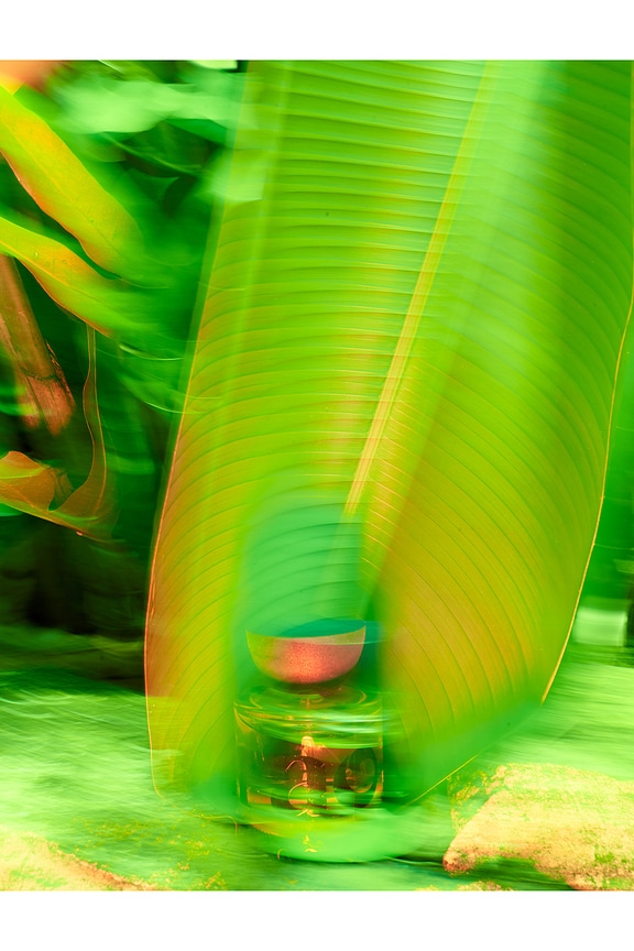 view 2 of 6 Mini Woo: I Am Verdant Eau De Parfum in 