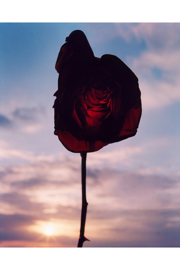 view 2 of 6 Georgette Eau De Parfum in 