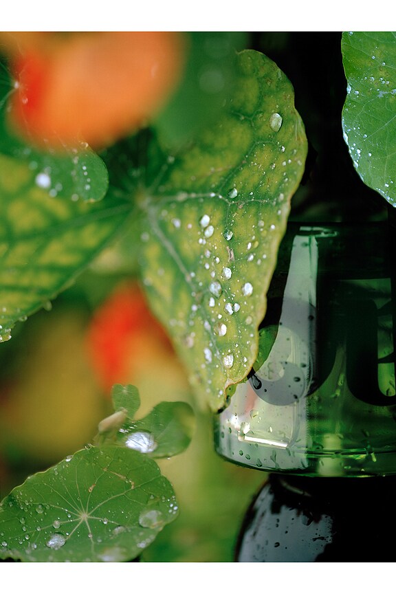 view 2 of 5 I Am Verdant Eau De Parfum in 