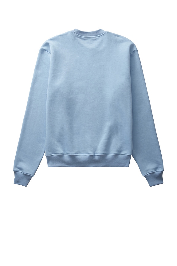 view 2 of 4 PULL DOLPHIN in Powder Blue