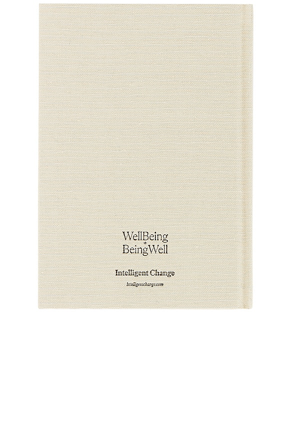 view 2 of 3 DIARIO in Parchment