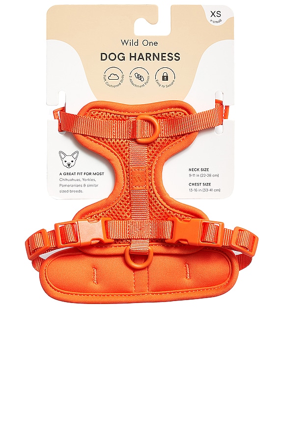 view 2 of 6 ARNÉS EXTRA SMALL HARNESS in Blaze