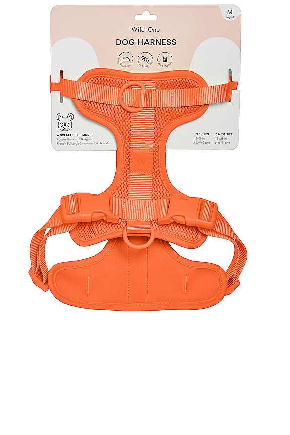 view 2 of 6 ARNÉS MEDIUM HARNESS in Blaze