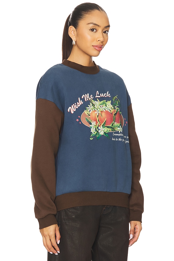 view 2 of 4 Greatest Fortune Crewneck Sweater in Blue & Brown