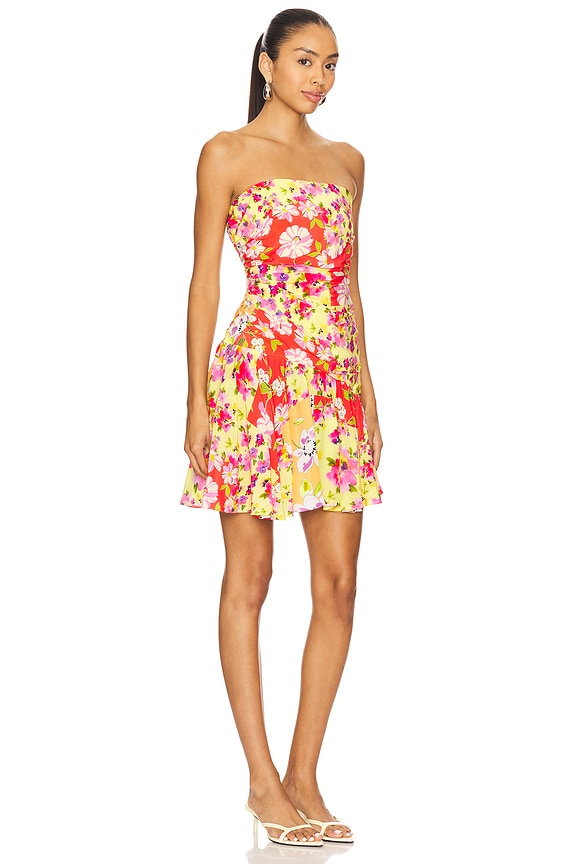 view 2 of 3 Juliana Dress in Sunset Field