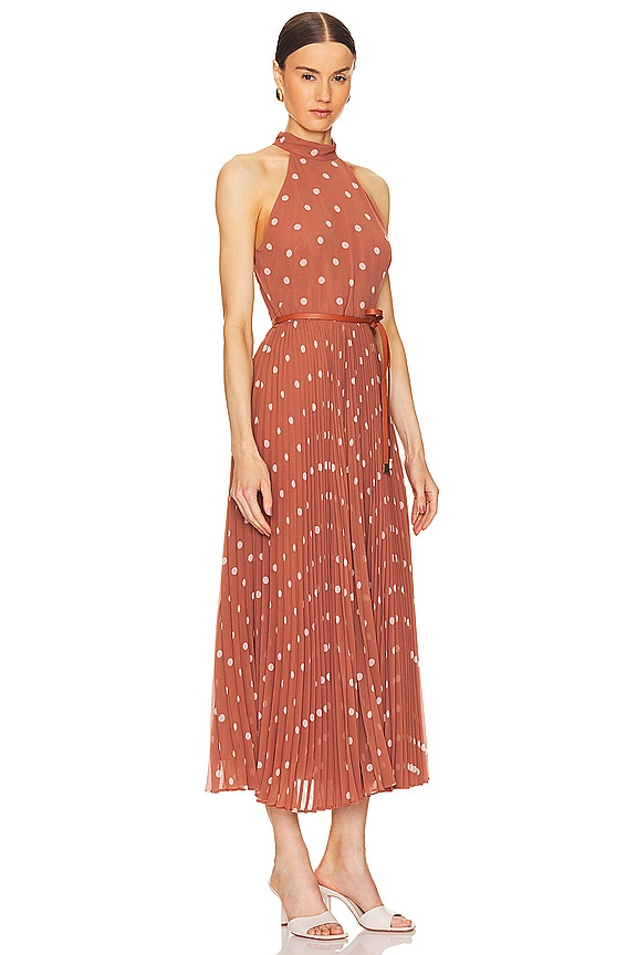 view 2 of 3 Sunray Picnic Dress in Aragon & Cream Dot