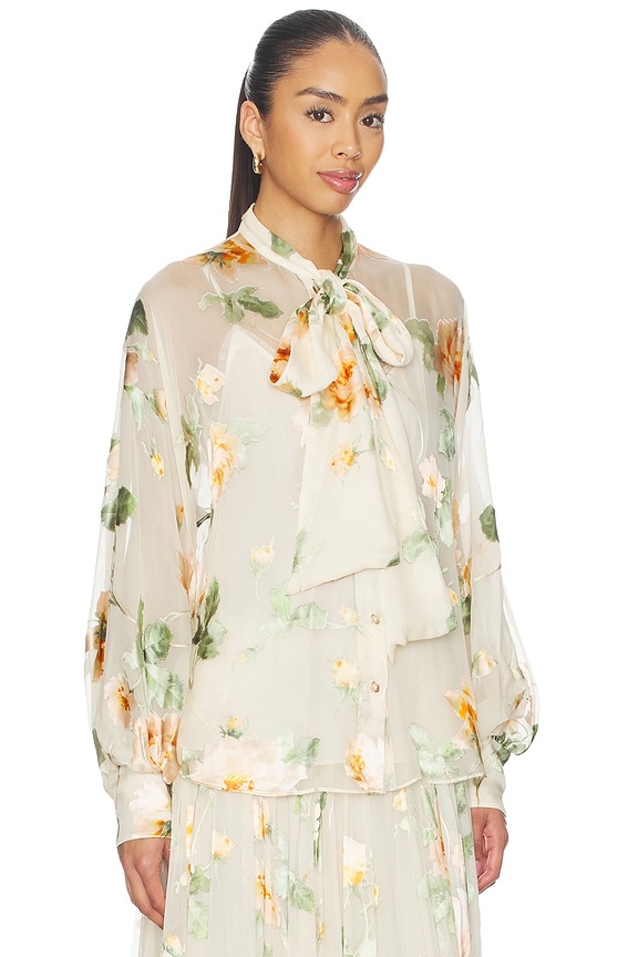 view 2 of 4 Carousel Burnout Blouse in Cream Rose