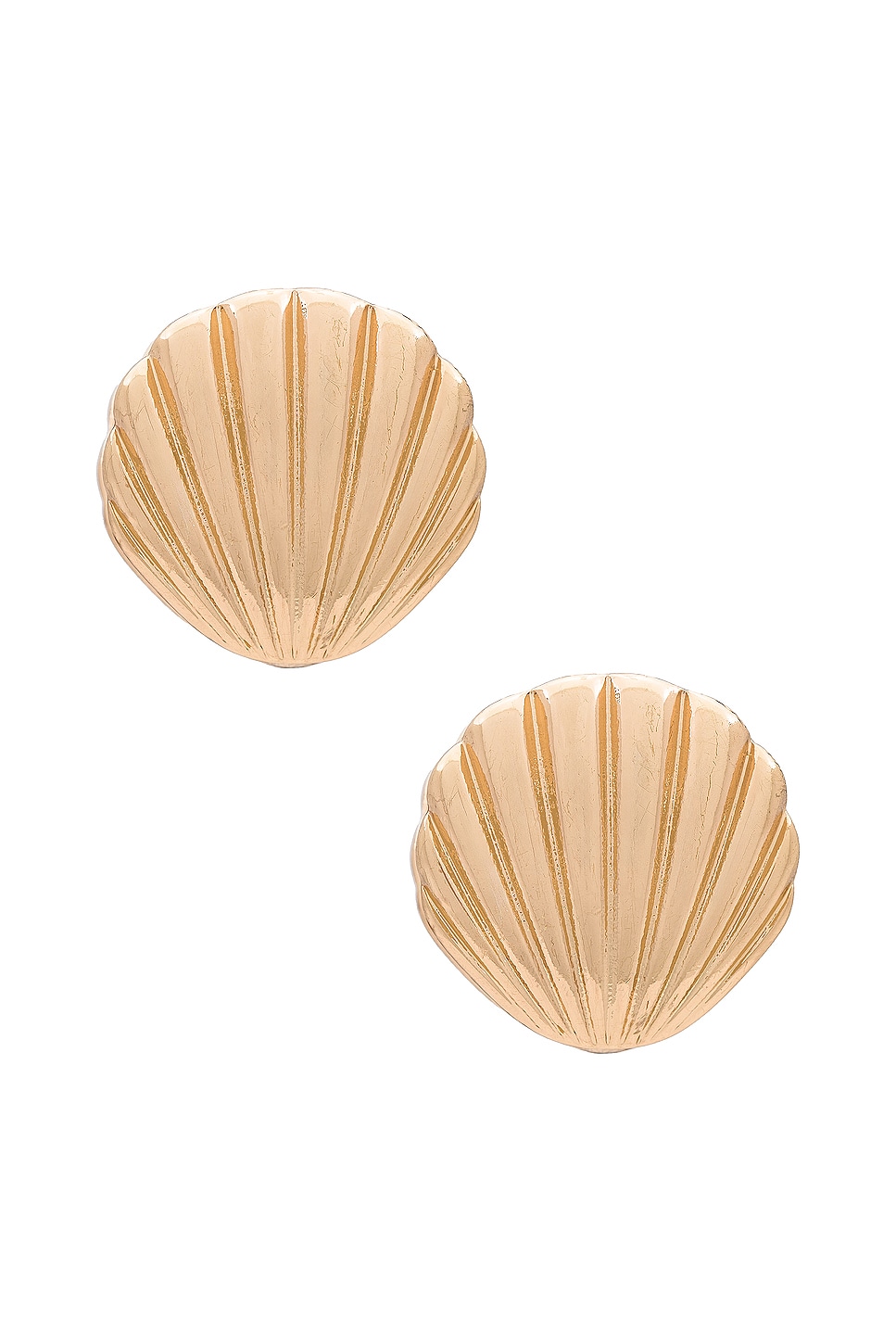 Shell Earring