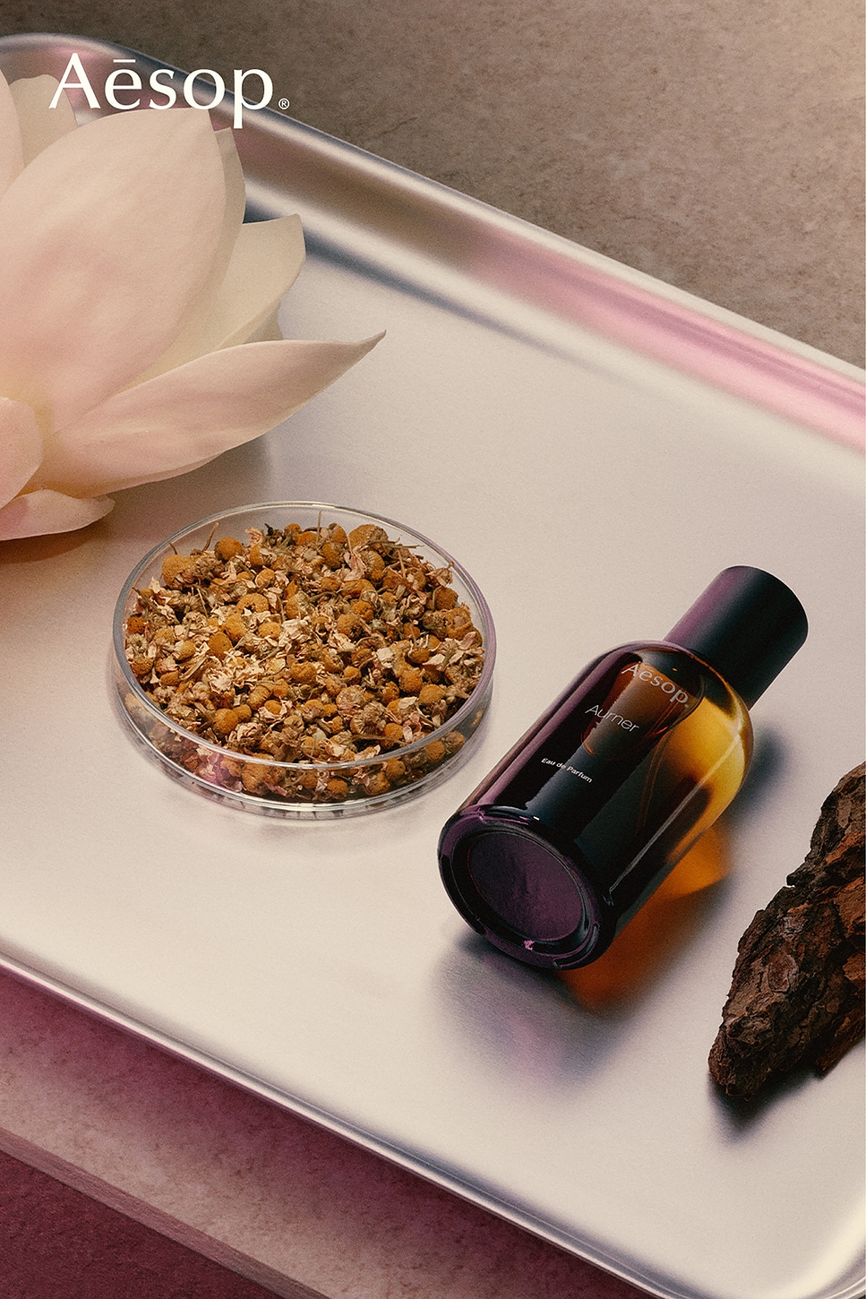 Aesop Aurner Eau De Parfum | REVOLVE