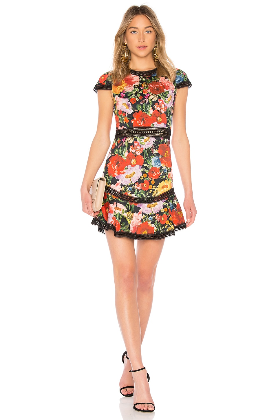 alice and olivia garden party dress