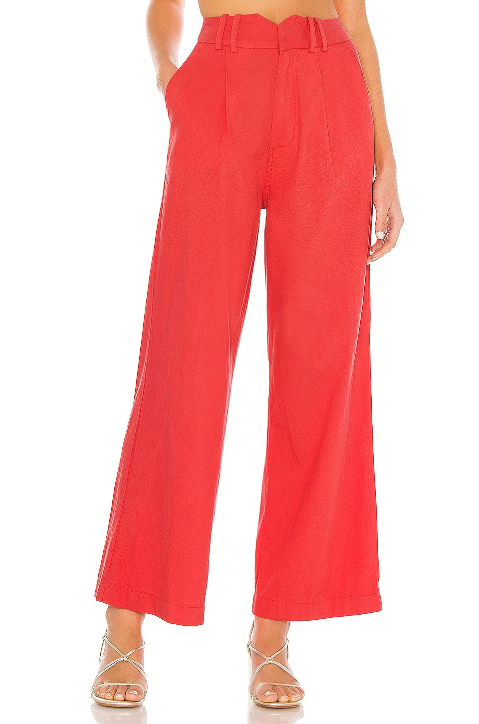 AMUSE SOCIETY Angelica Woven Pant in Spice | REVOLVE