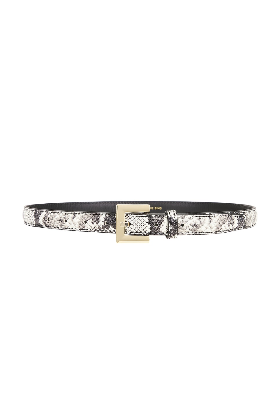 Nicola Belt - thumbnail 2