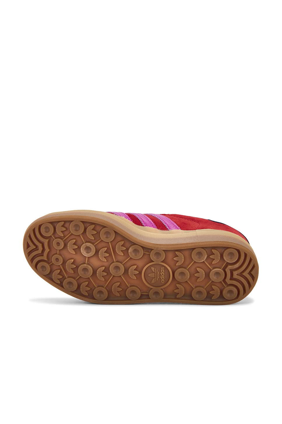 Gazelle Bold