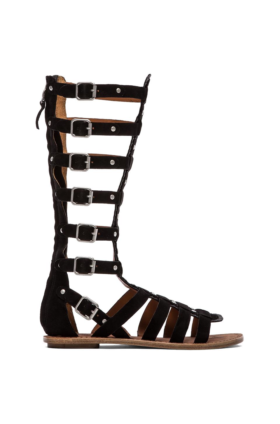 Ash Nymphea Gladiator Sandal in Black | REVOLVE