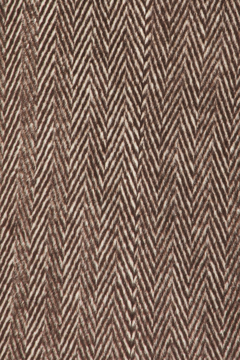 ASTR the Label Morana Coat thumbnail