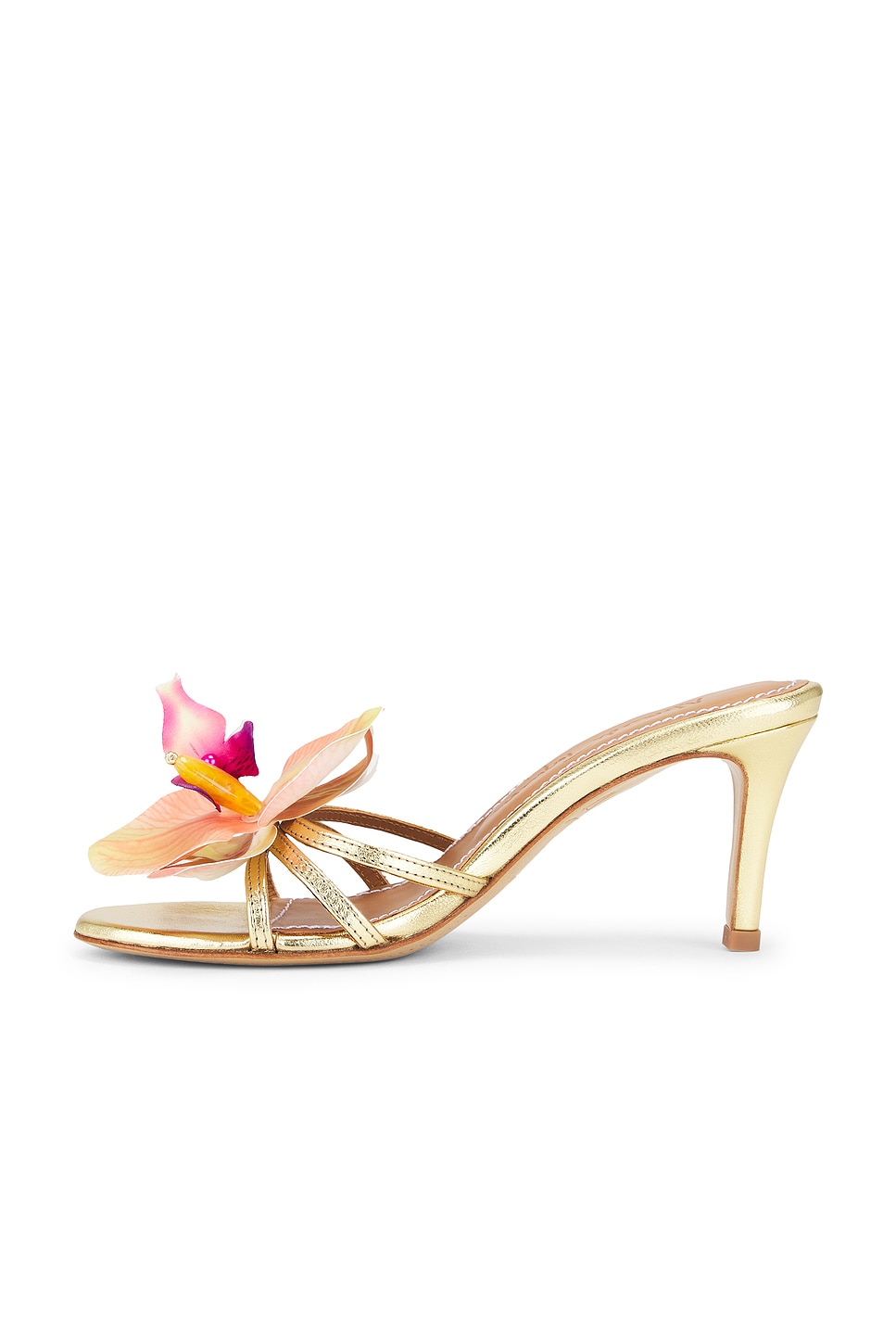 Cecily Heel
