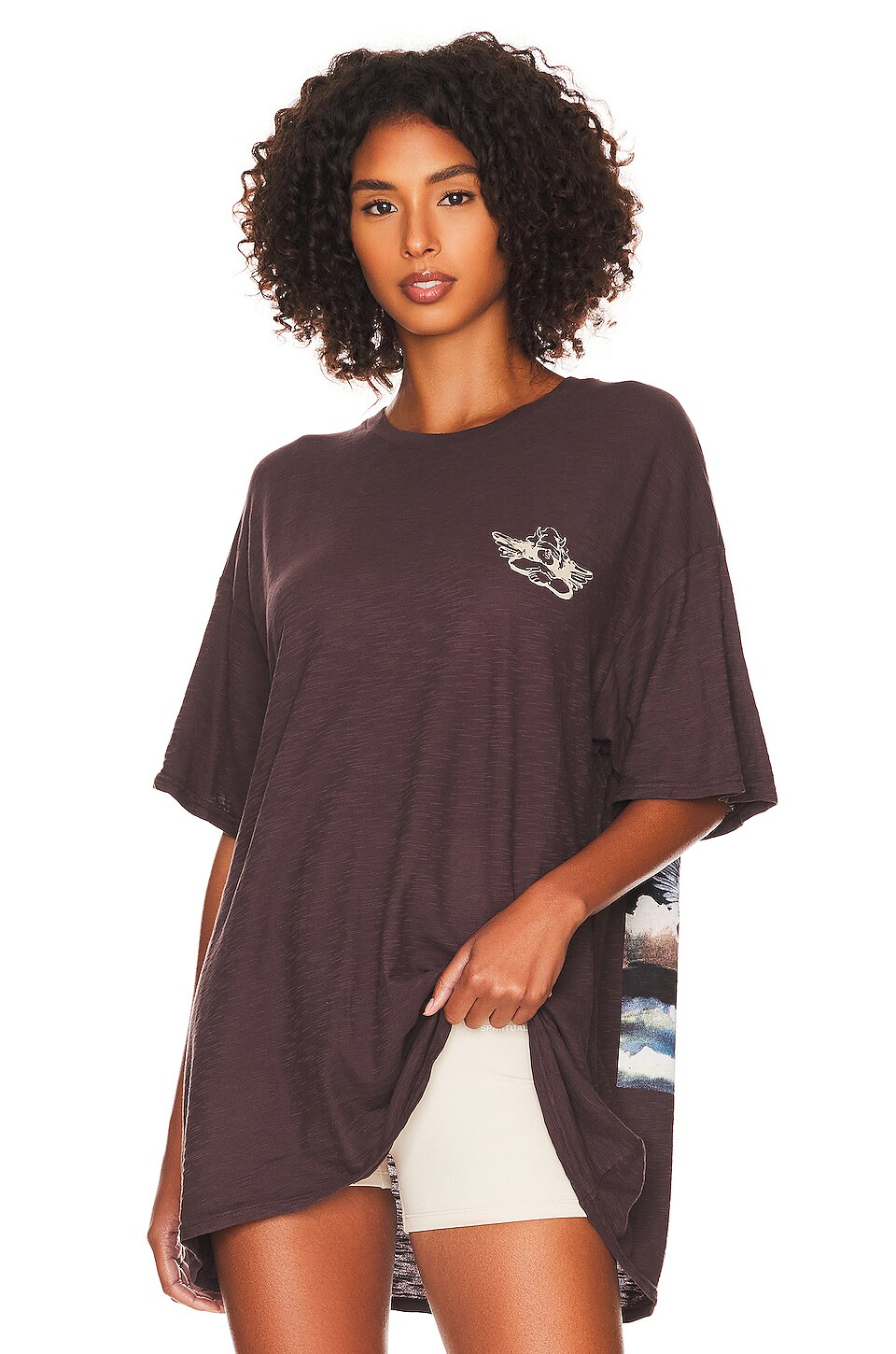Boys Lie Daydreamer Boyfriend Tee in Brown