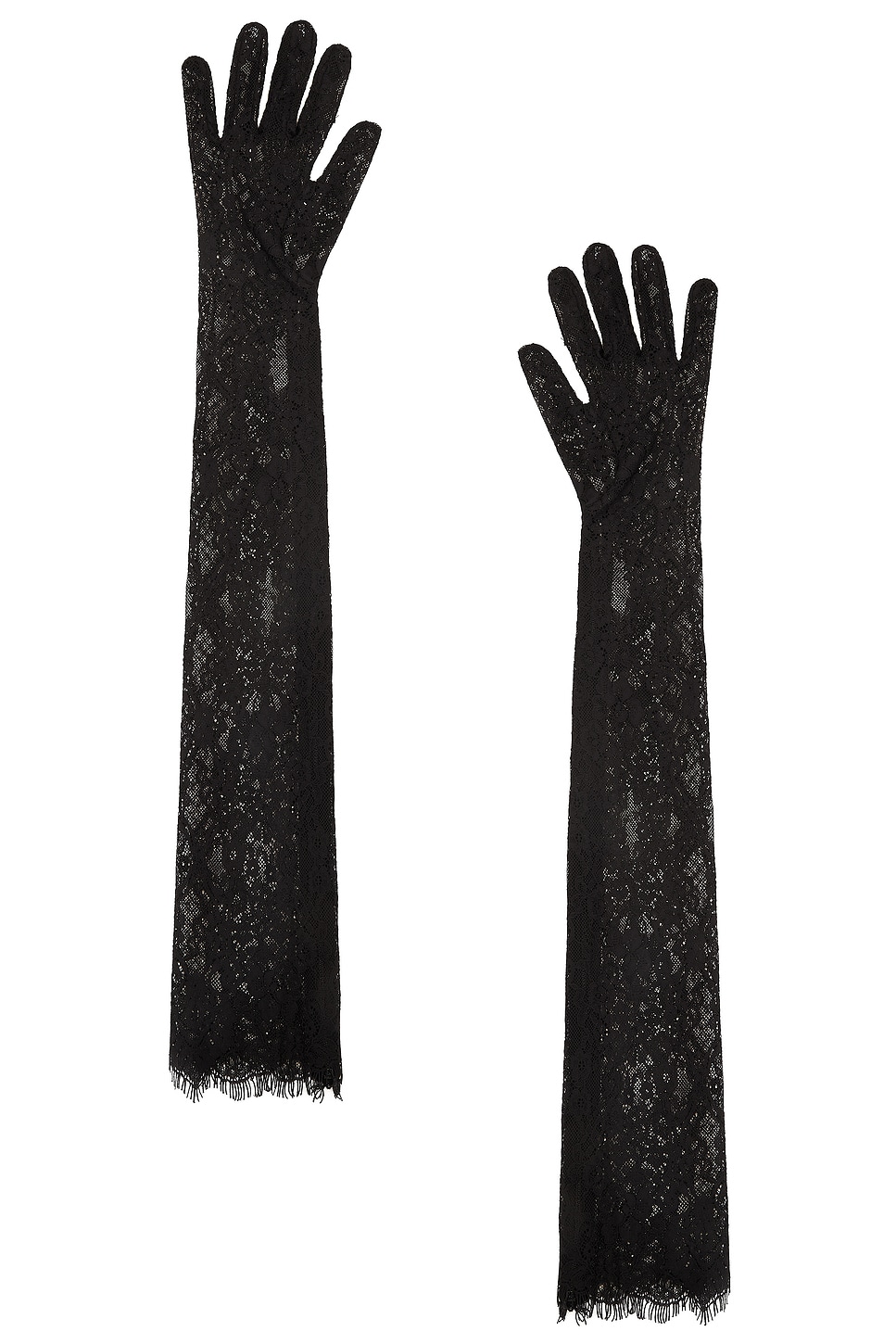 Lace Gloves