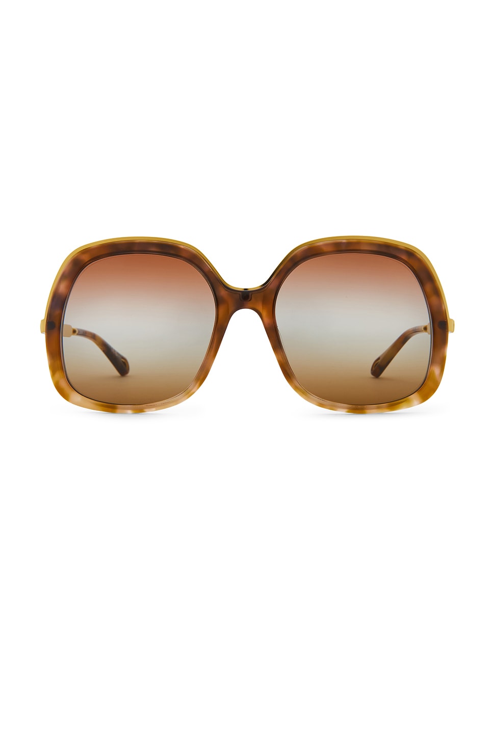 Aly Square Sunglasses