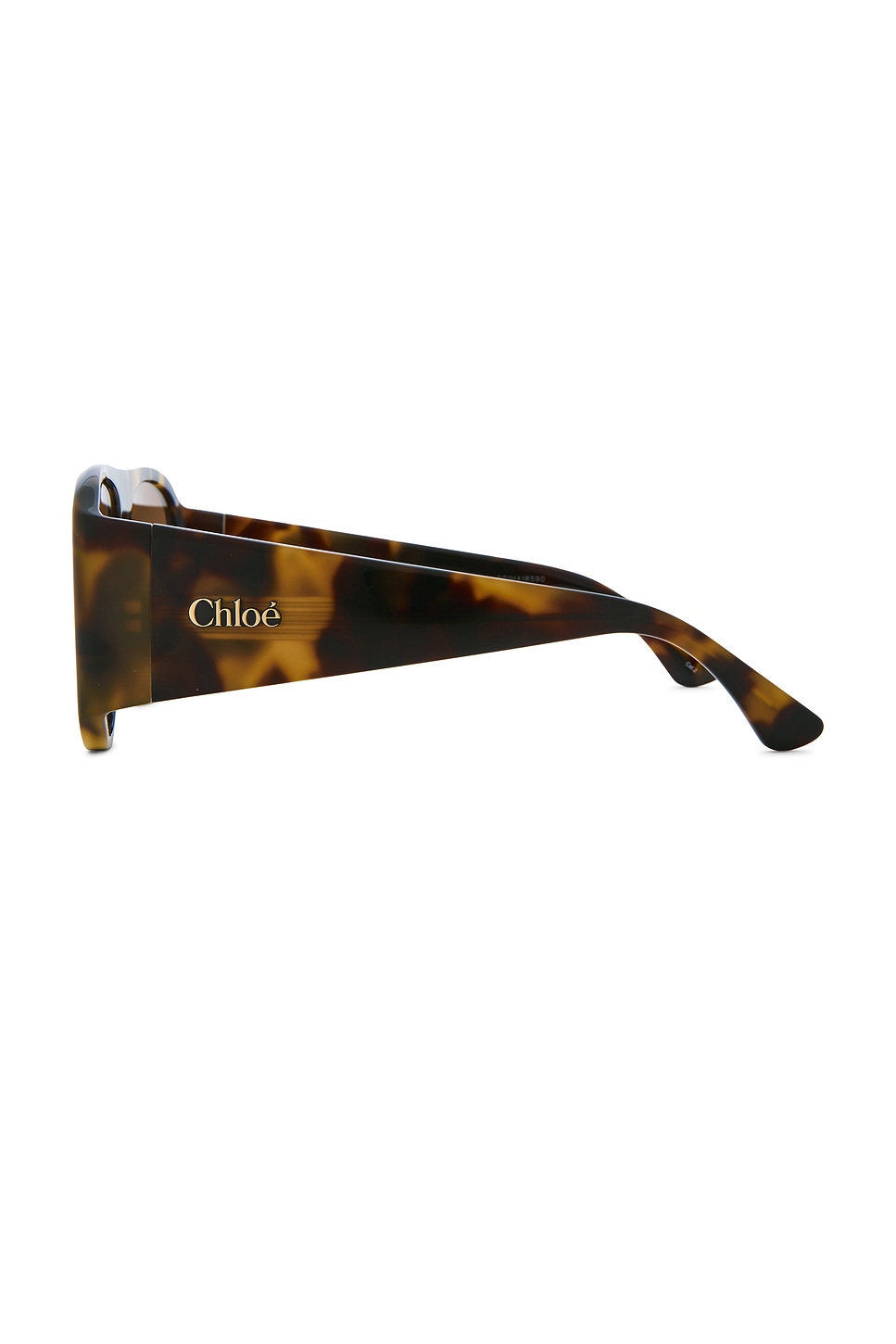 Chloe Izia Sunglasses in Havana & Brown | REVOLVE