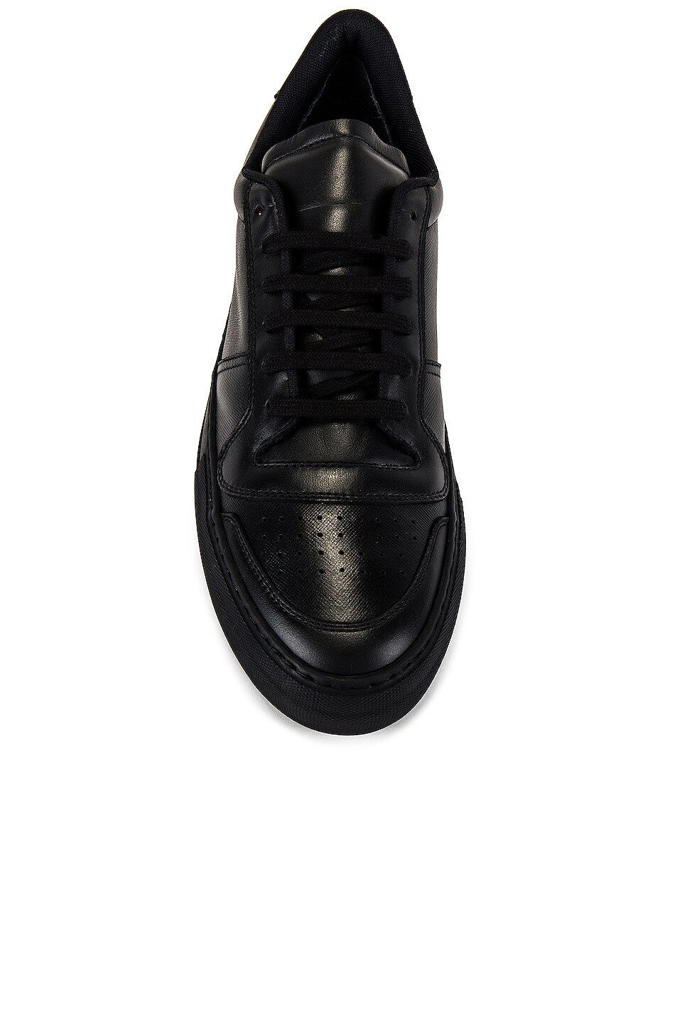 common projects full court sneakers