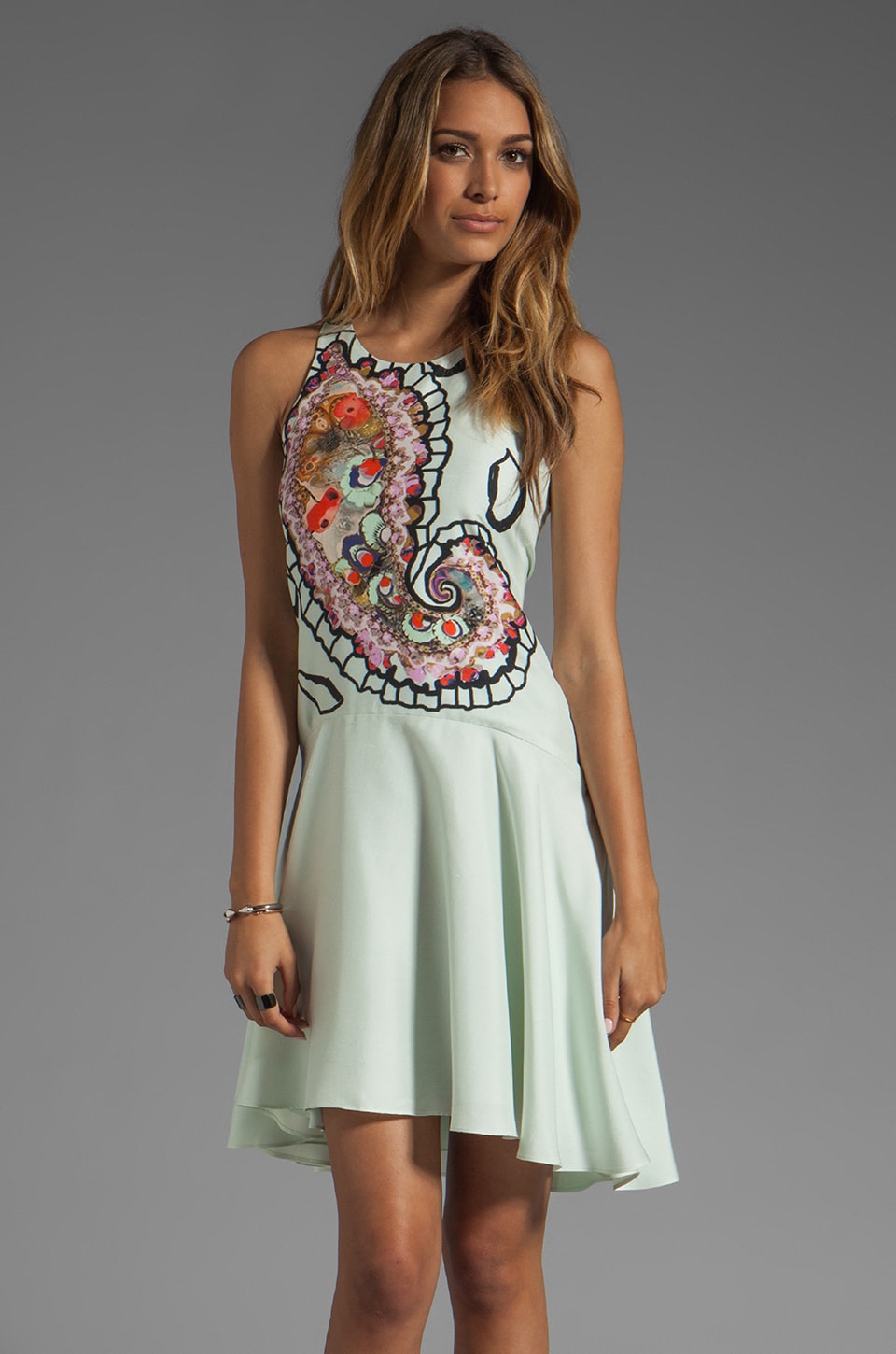 cynthia rowley paisley dress